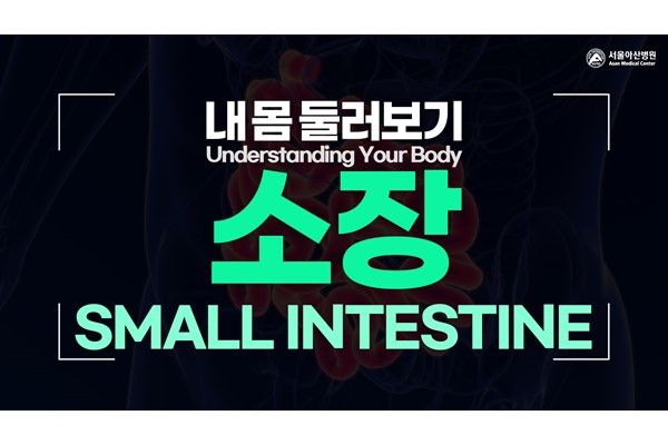 [Understanding Your Body] Small Intestine