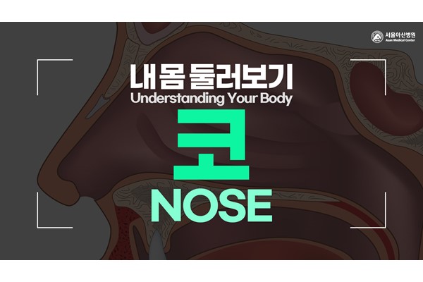 [Understanding Your Body] Nose